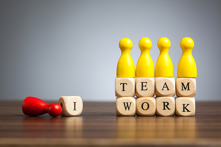 Teamwork - The Complementary Cycle of Success